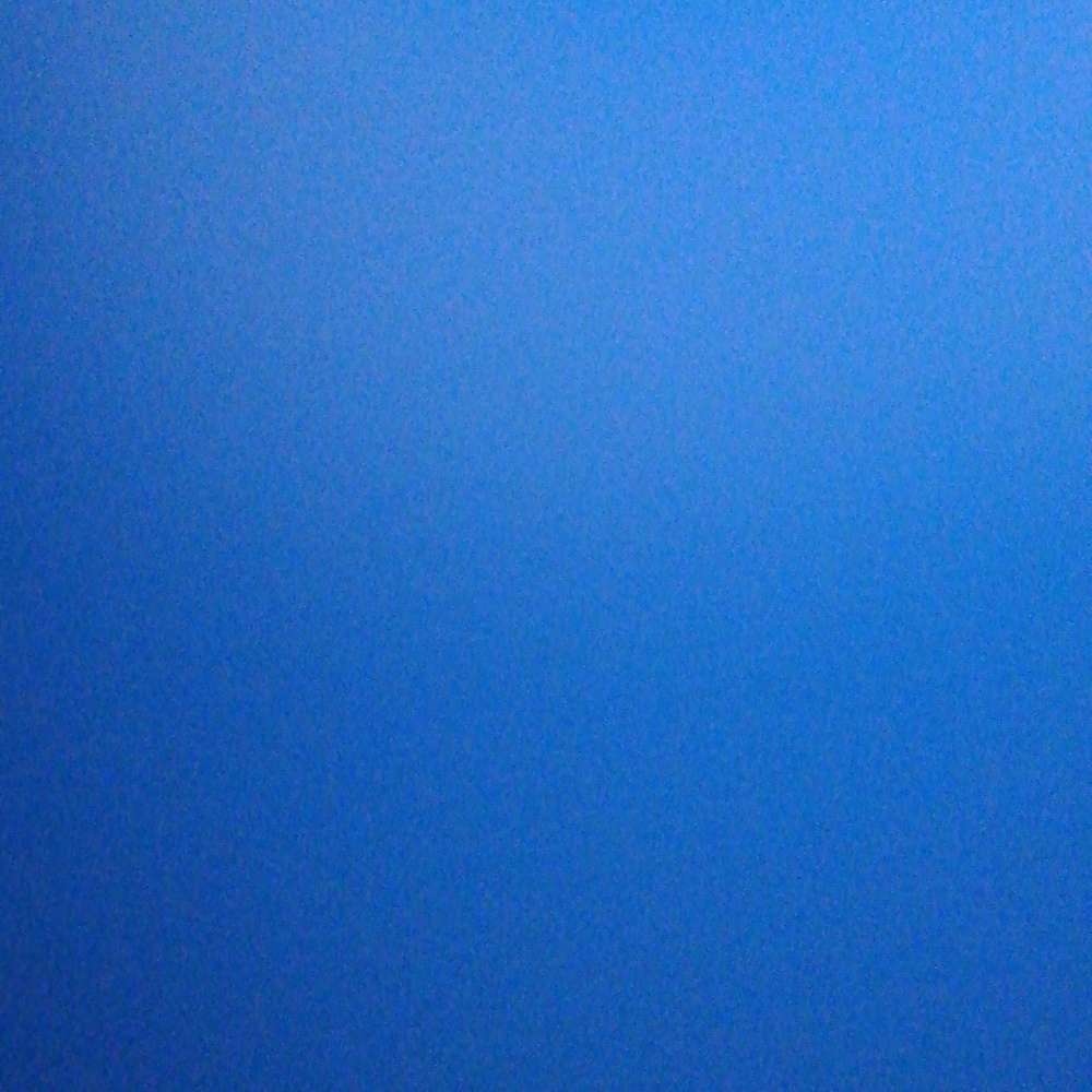 Hundetreffen-gemeinsame Spazierrunden-Profilbild