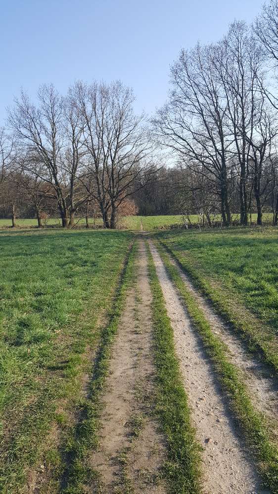 Giftköder-Toter Marder-Profilbild