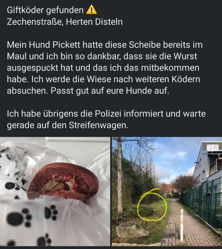 Giftköder-Giftköder gefunden-Profilbild