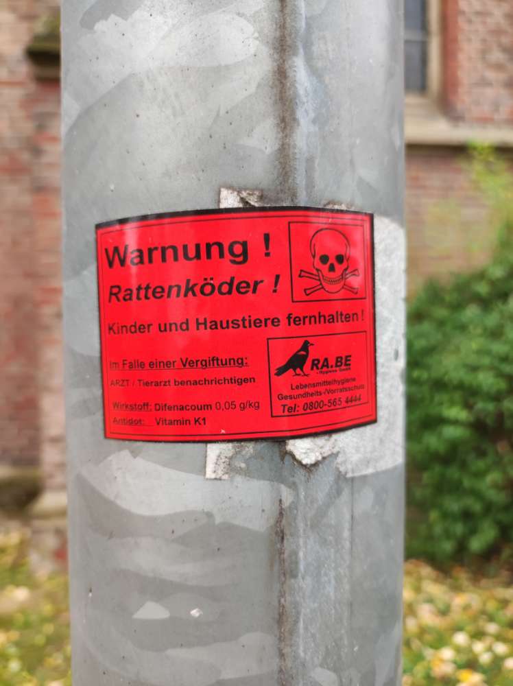 Giftköder-Rattengift ausgelegt-Profilbild