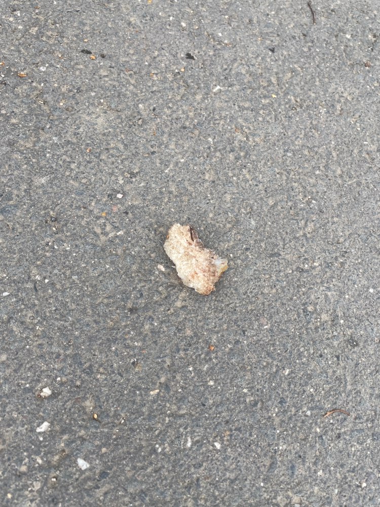 Giftköder-Hähnchen in Karweiler vor dem Flugplatz-Profilbild