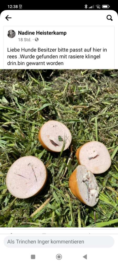 Giftköder-Köder mit Rasierklinge-Profilbild