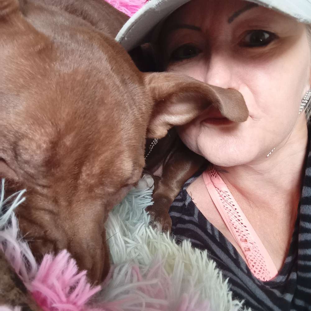 Hundetreffen-Einfach Gassi gehen, spielen und genießen 😁-Profilbild