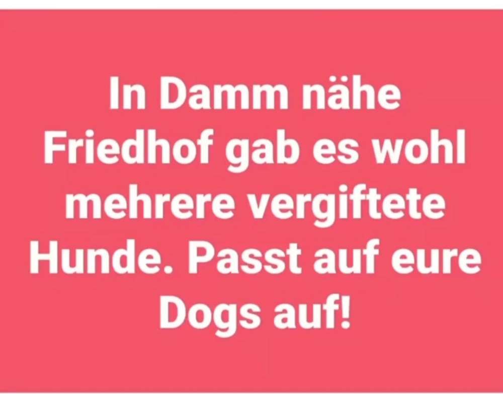 Giftköder-Hunde vergiftet-Profilbild
