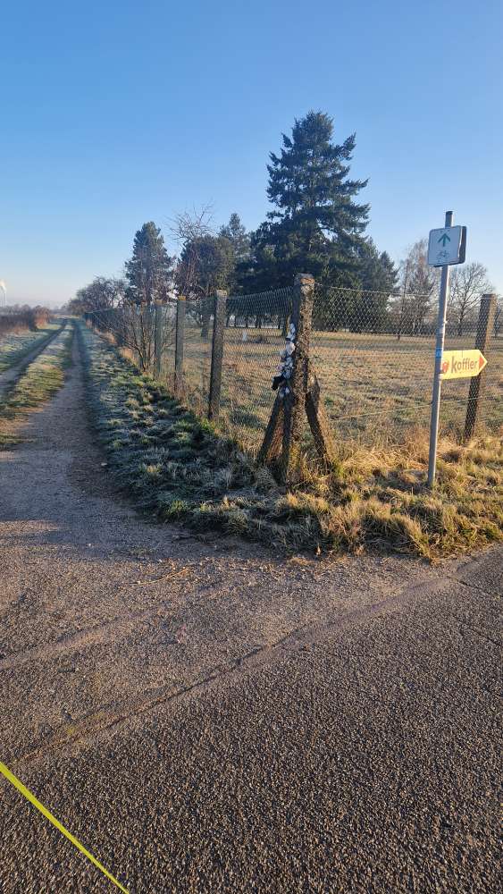 Giftköder-Weiße Kügelchen-Profilbild