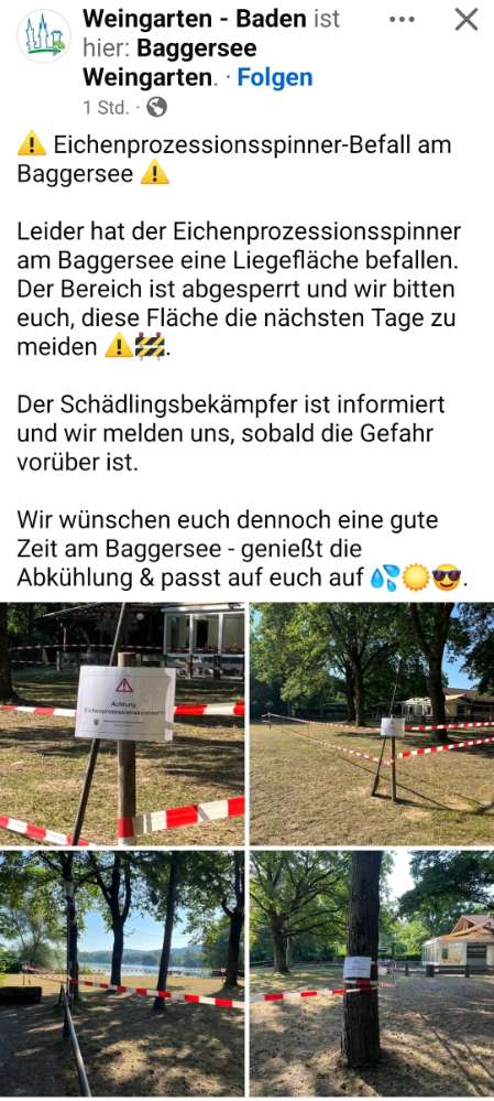 Giftköder-Eichenprozessionsspinner-Profilbild