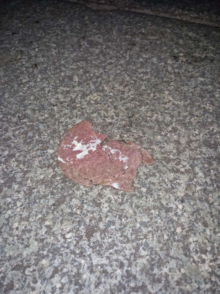 Giftköder-Gift in Wurstscheibe-Profilbild