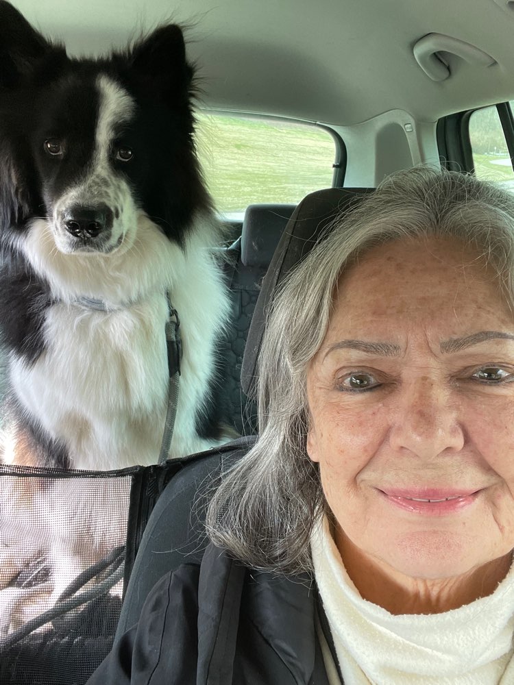 Hundetreffen-Nette Menschen mit netten Hunde zum spazieren/spielen gesucht…gerne a.Brombachsee. Oder egal wo.-Profilbild