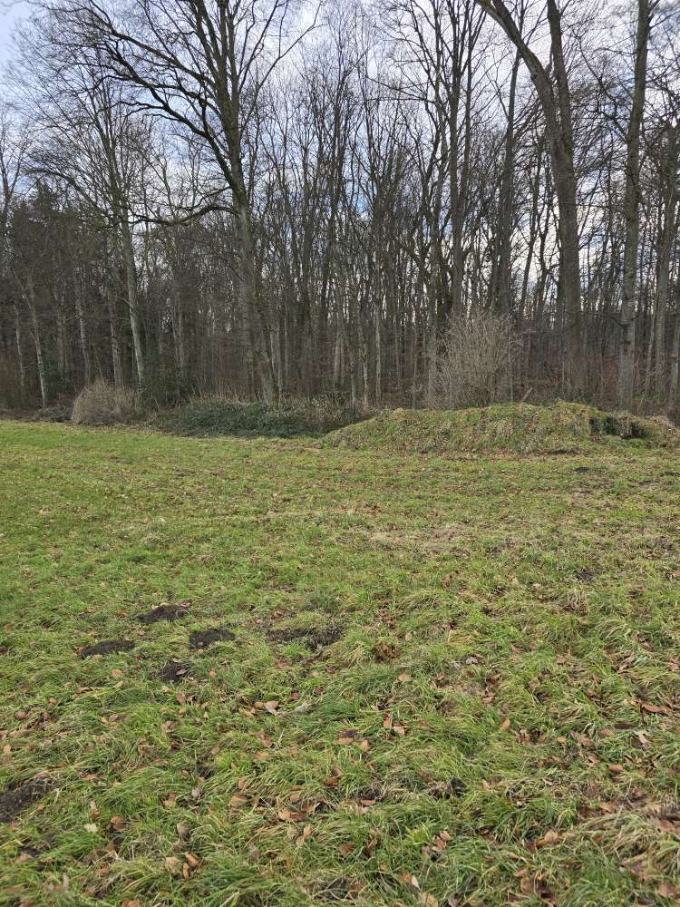 Giftköder-Fleisch ausgelegt-Profilbild