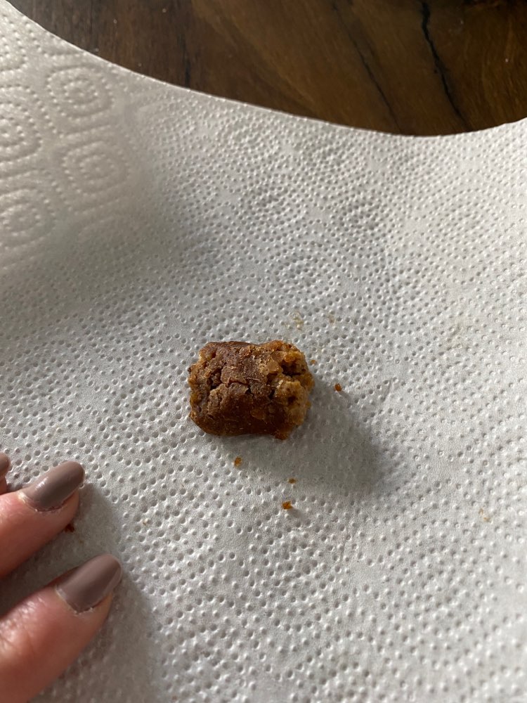 Giftköder-Vermeintliche Giftköder-Profilbild