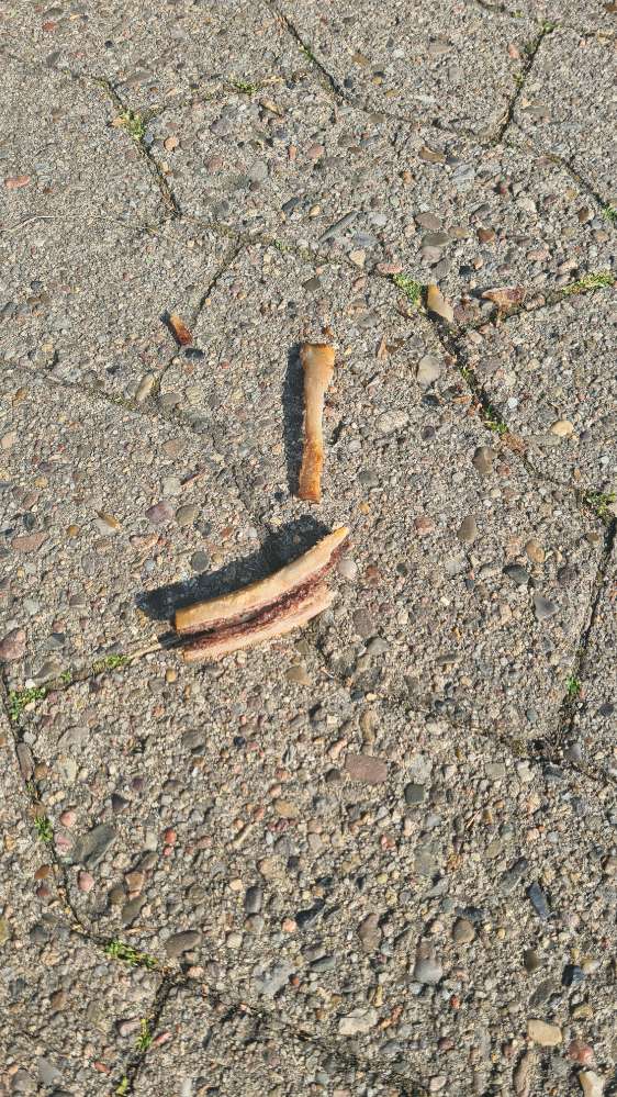 Giftköder-Knochenstücke auf der Straße-Profilbild