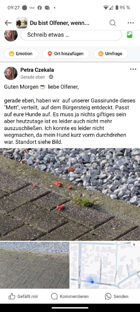 Giftköder-"Mett"-Profilbild