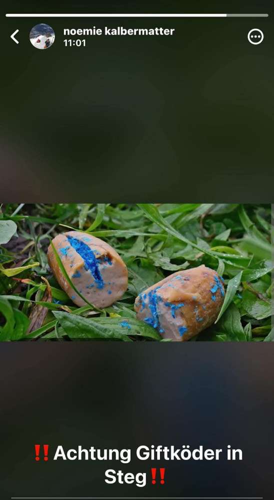 Giftköder-Giftköder-Profilbild