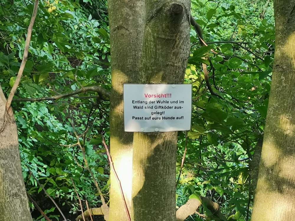 Giftköder-Giftköder-Profilbild