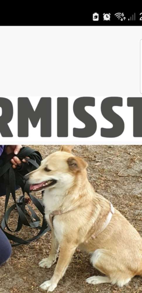 Suchmeldung-Vierka-Profilbild