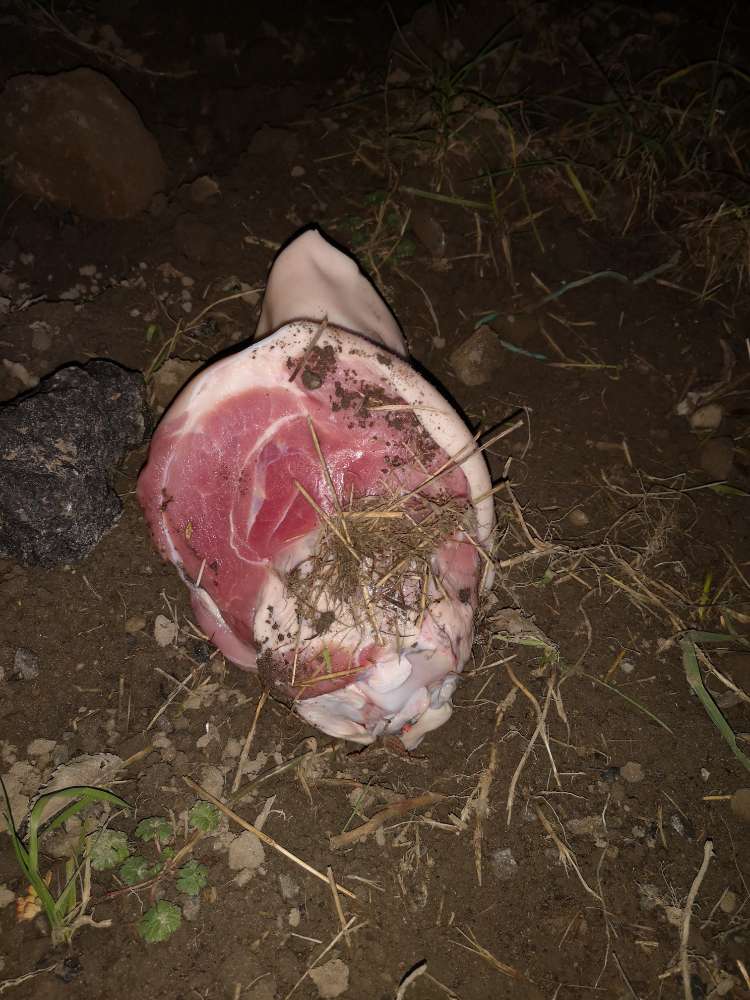 Giftköder-Eisbein-Profilbild