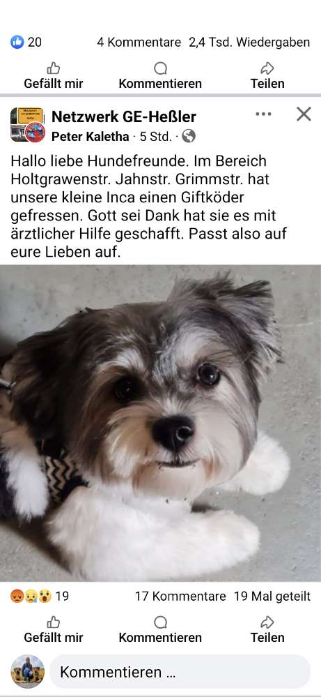 Giftköder-Giftköder-Profilbild