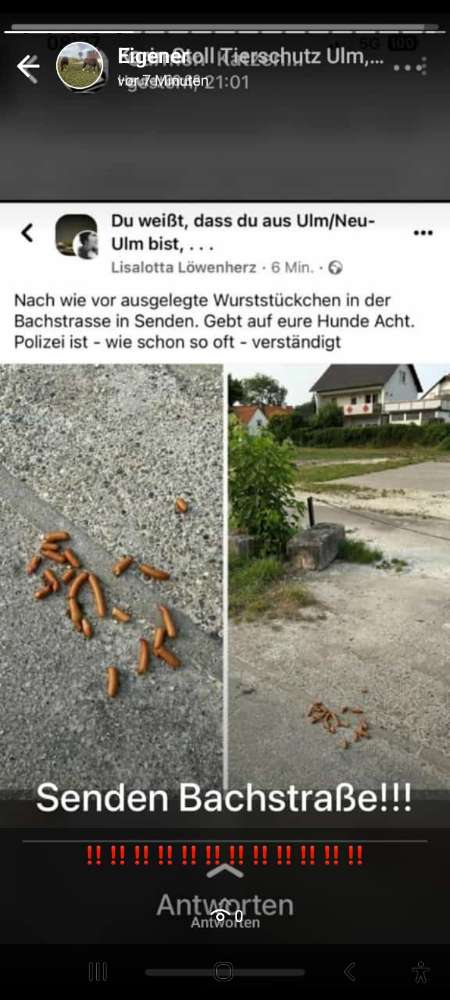 Giftköder-Verm. GIFTKÖDER-Profilbild