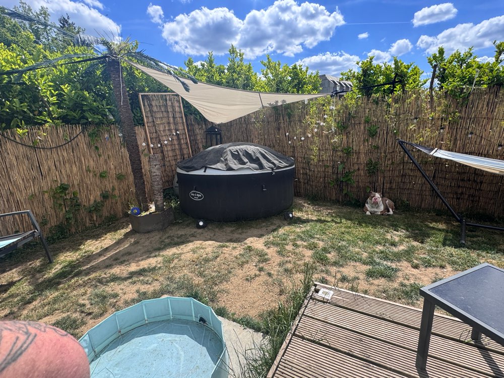 Hundetreffen-Geimeinsame gassirunde-Profilbild