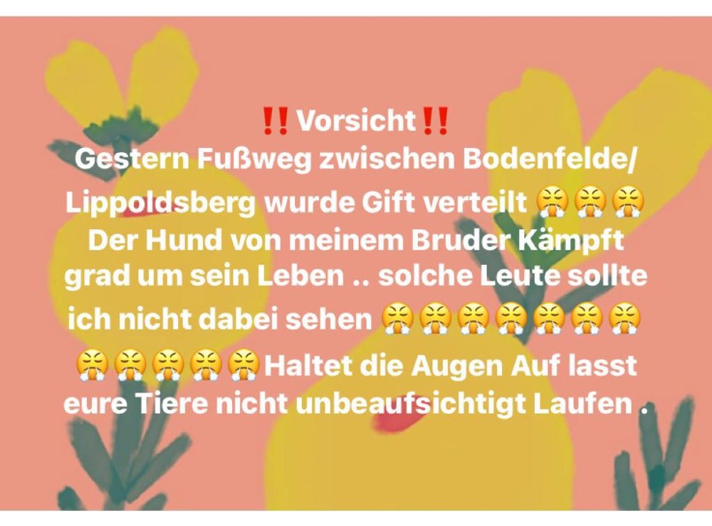 Giftköder-Schneckenkorn (Richtung Lippoldsberg)-Profilbild