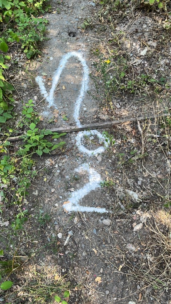Giftköder-Weißes Pulver im Wald gefunden-Profilbild
