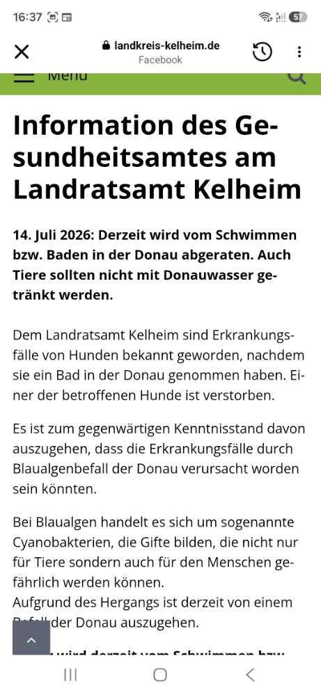 Giftköder-Blaualgenverdacht-Profilbild