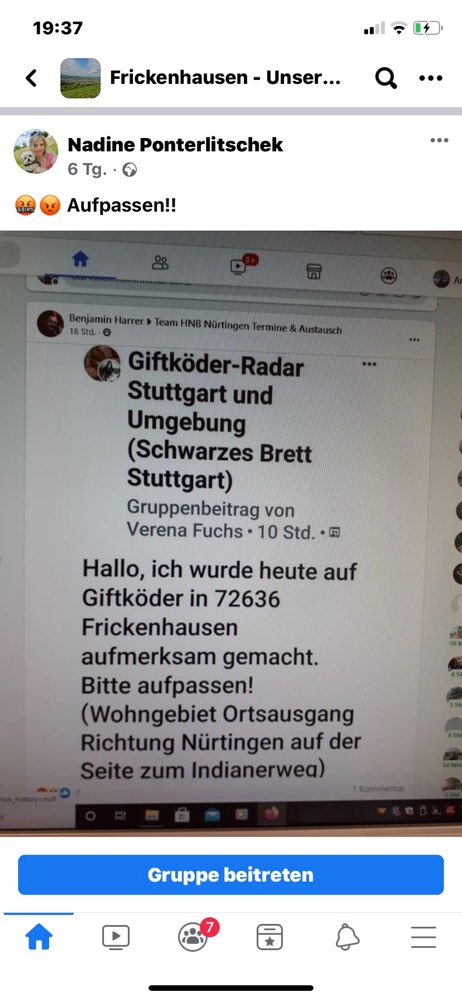 Giftköder-Giftköder-Profilbild