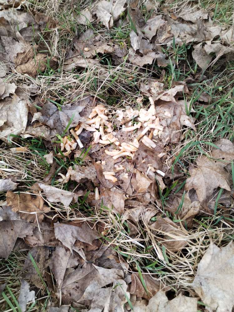 Giftköder-Giftköder mit Kippenstummeln!-Profilbild