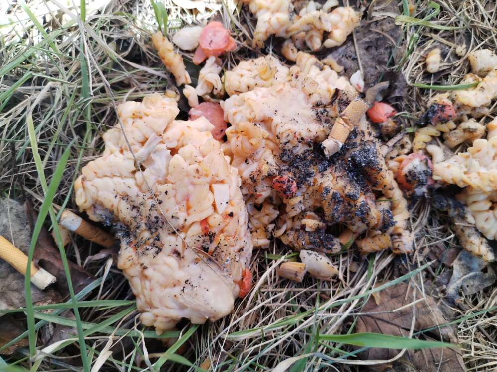 Giftköder-Giftköder! Nudeln mit Kippenstummeln!-Profilbild