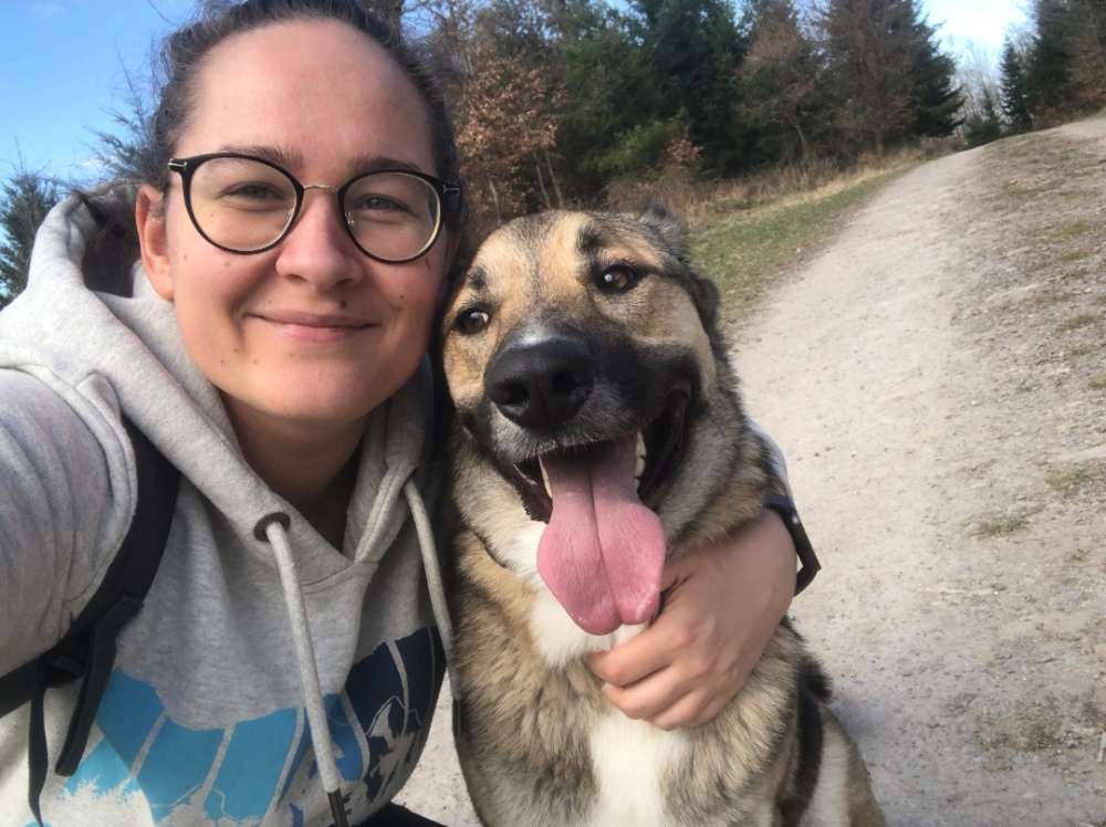 Hundetreffen-Gassigehen und Spielen-Profilbild