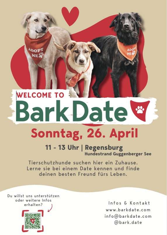 Hundetreffen-Bark Date-Profilbild