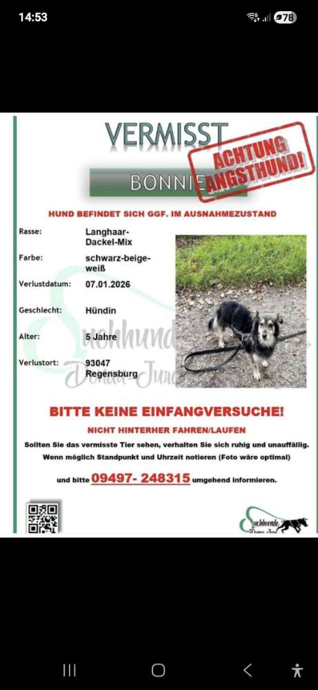 Suchmeldung-Bonnie-Profilbild