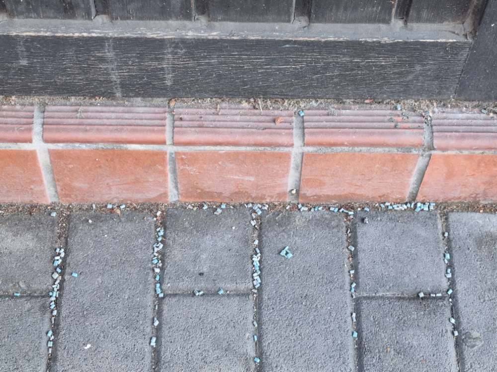 Giftköder-Rattengift-Profilbild