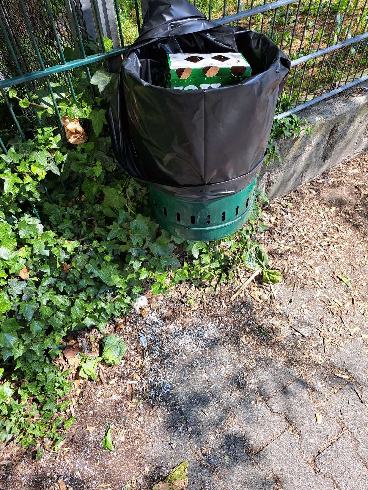 Giftköder-mglw Rattengift um Mülleimer-Profilbild