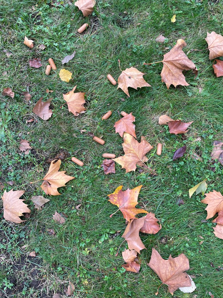 Giftköder-Wiener Würstchen vor Schwimmhalle-Profilbild