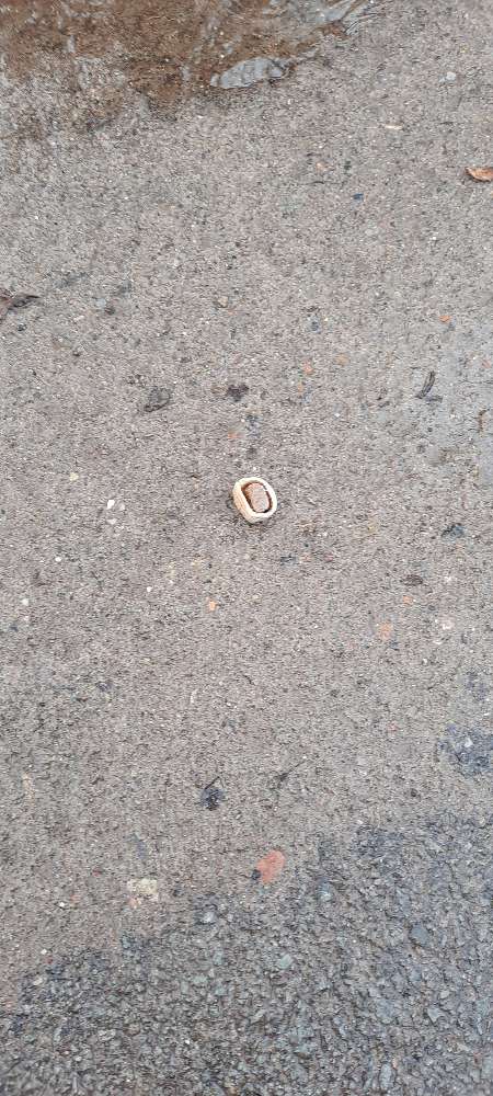 Giftköder-Möglicher Giftköder-Profilbild