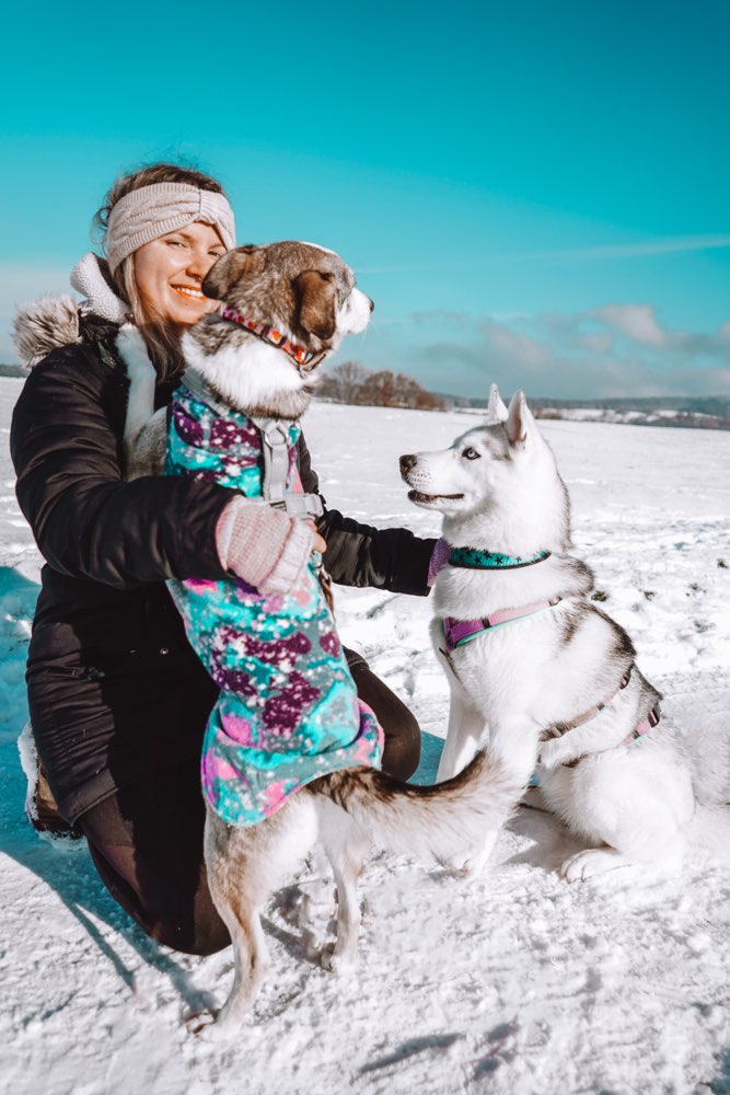 Hundetreffen-Gassi-Trainingspartner gesucht! 🐶-Profilbild