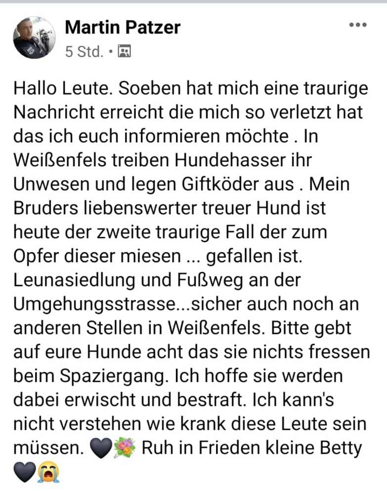 Giftköder-Giftköder-Profilbild