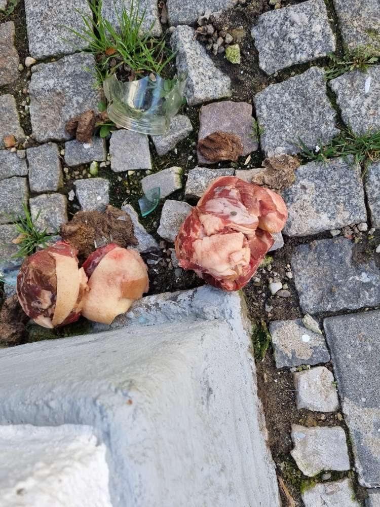 Giftköder-Giftköder (Fleisch mit Glass)-Profilbild