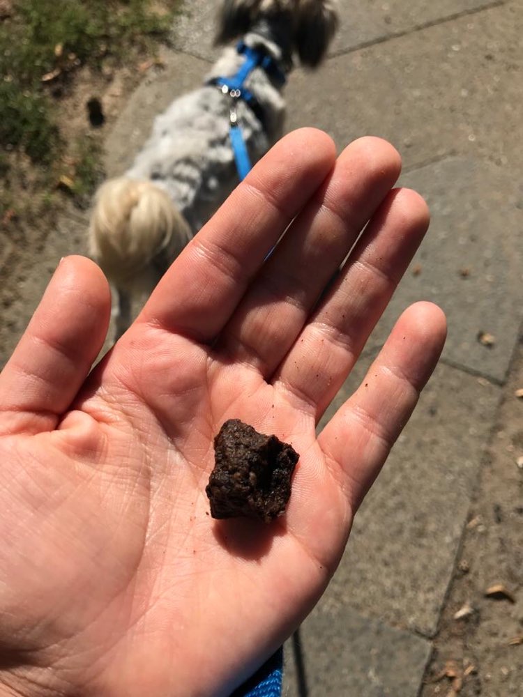 Giftköder-Mann verkauft „Leckerlies"-Profilbild