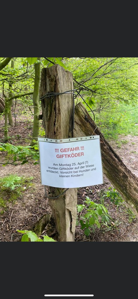 Giftköder-Giftköderfund Schellenberger Wald-Profilbild