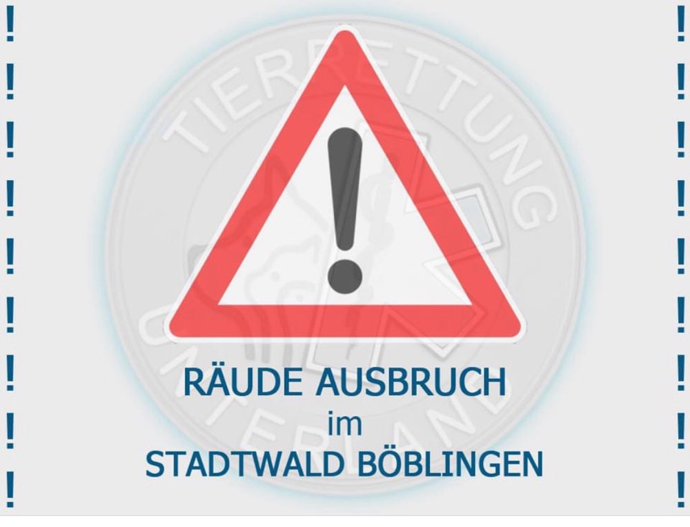 Giftköder-Räude Ausbruch Stadtwald Böblingen-Profilbild