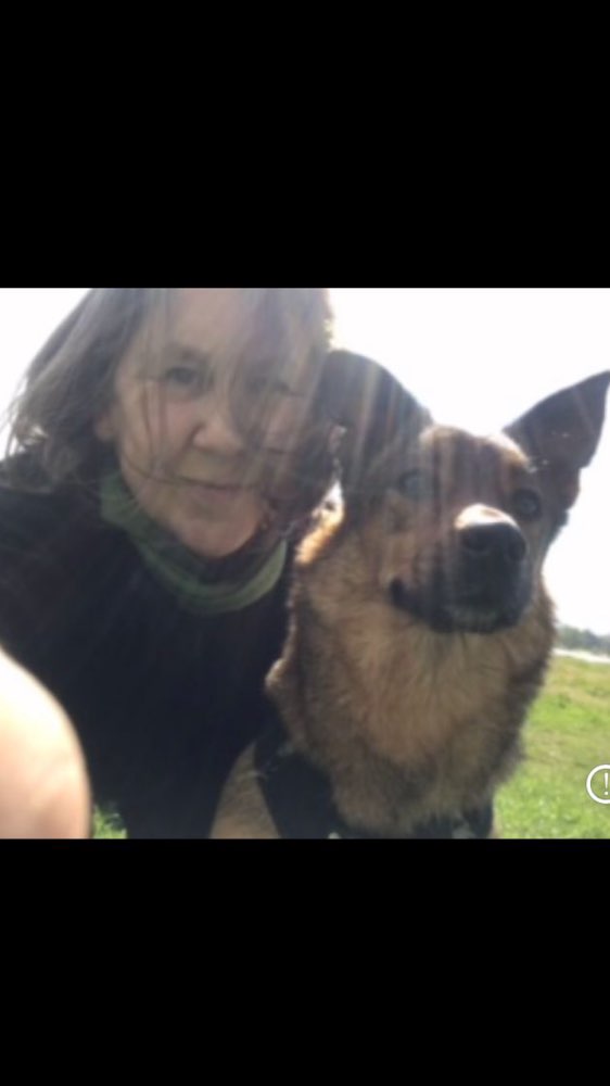 Hundetreffen-Hunde Freunde treffen-Profilbild