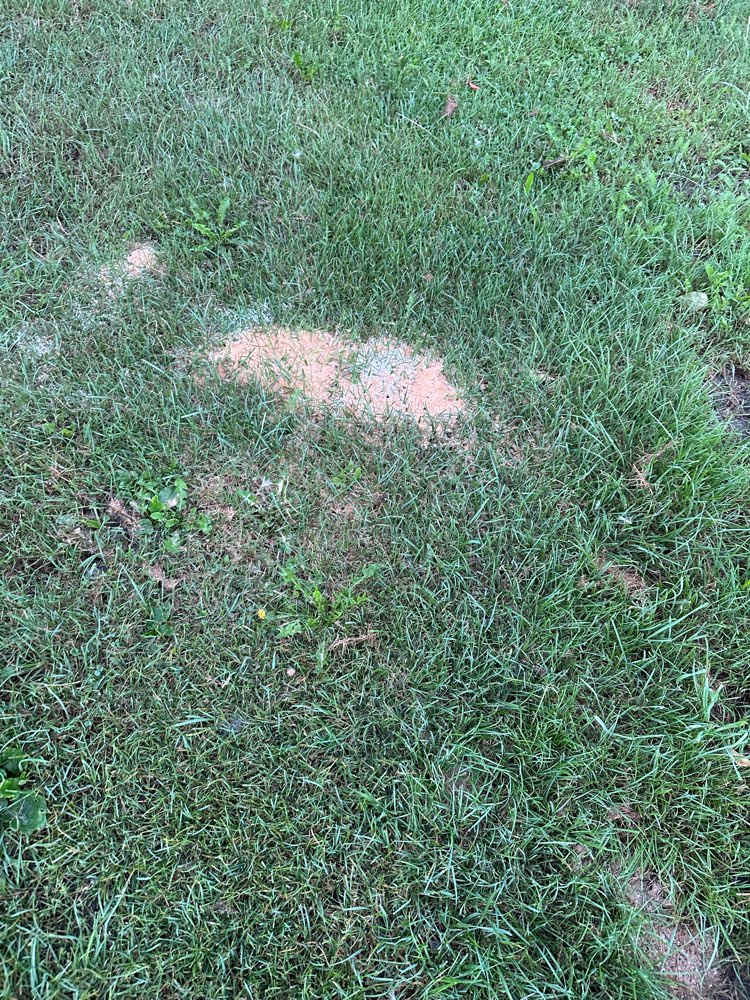 Giftköder-Giftköder?!-Profilbild