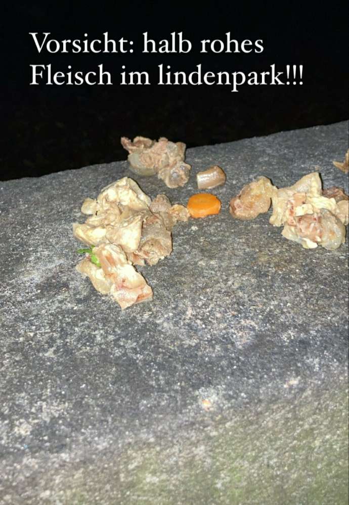 Giftköder-Fleisch im Lindenpark.-Profilbild