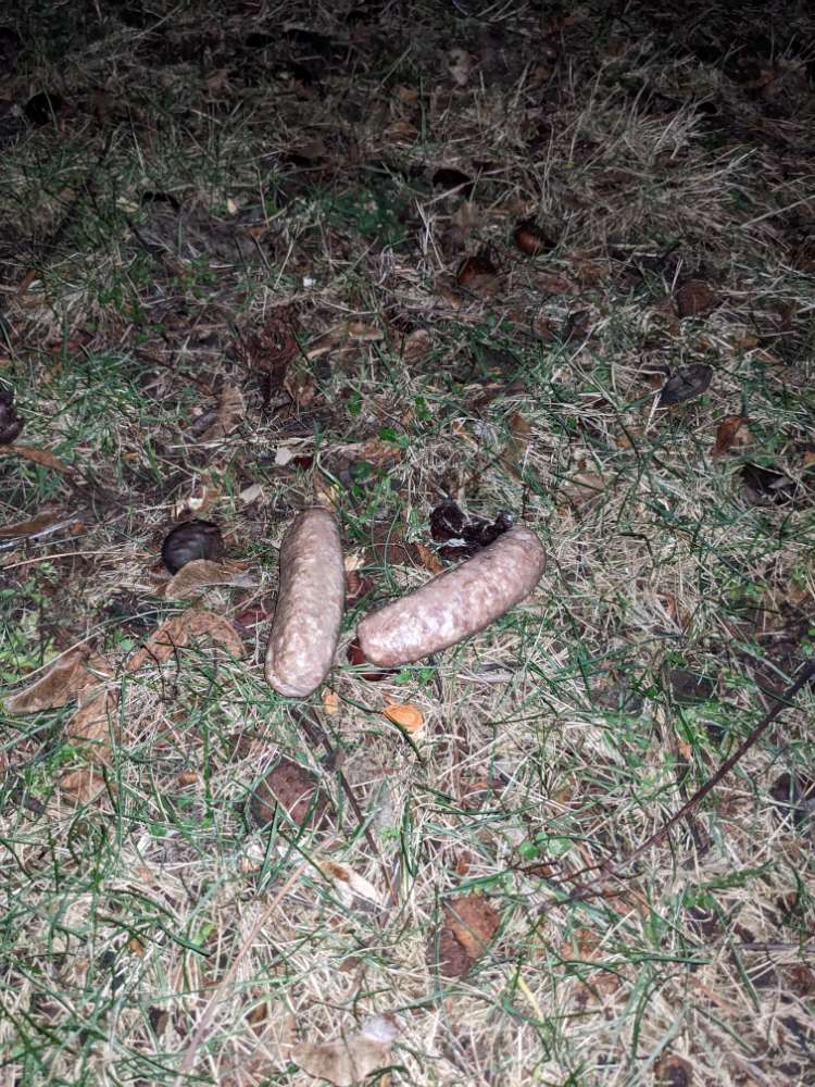 Giftköder-Mutmaßliche Giftköder-Profilbild