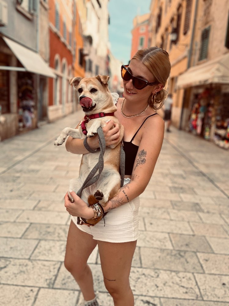 Hundetreffen-Spielfreunde gesucht-Profilbild