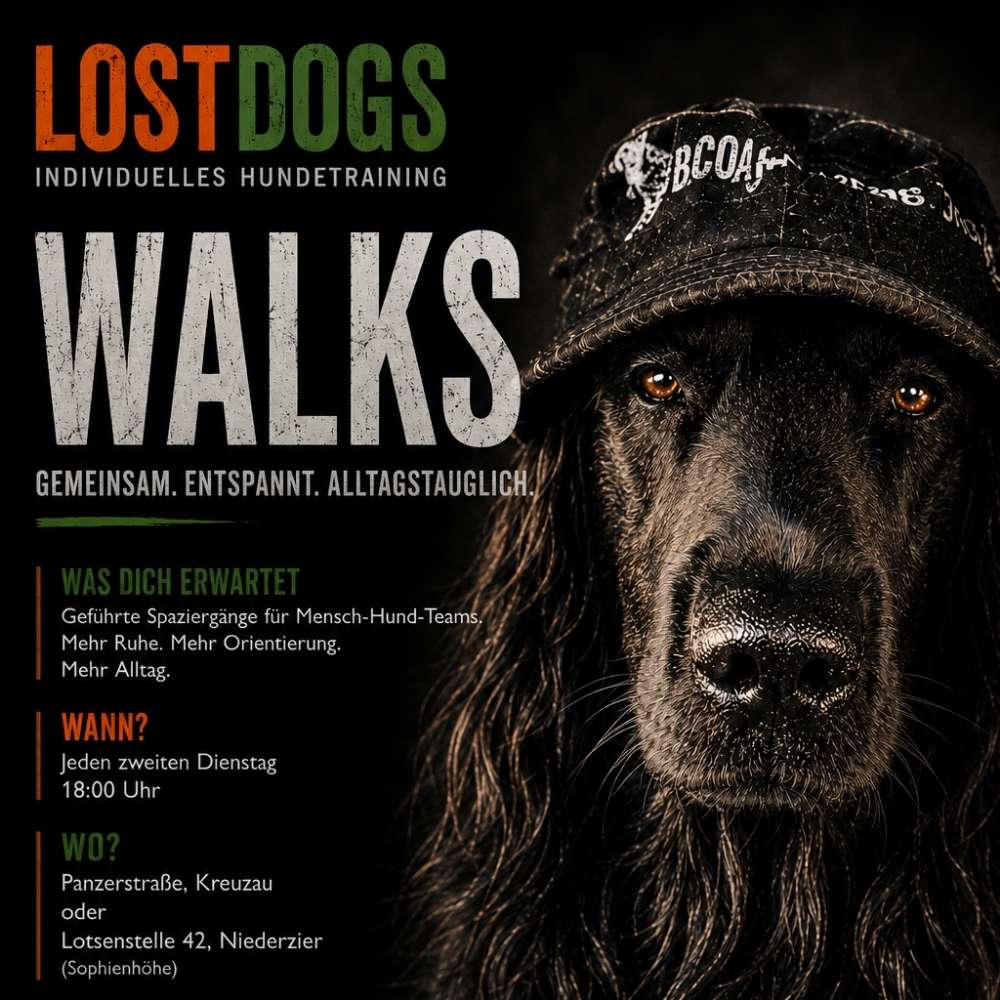 Hundetreffen-Geführte Spaziergänge-Profilbild