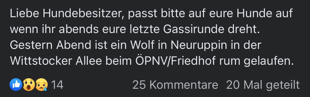 Giftköder-Wolfsichtung-Profilbild