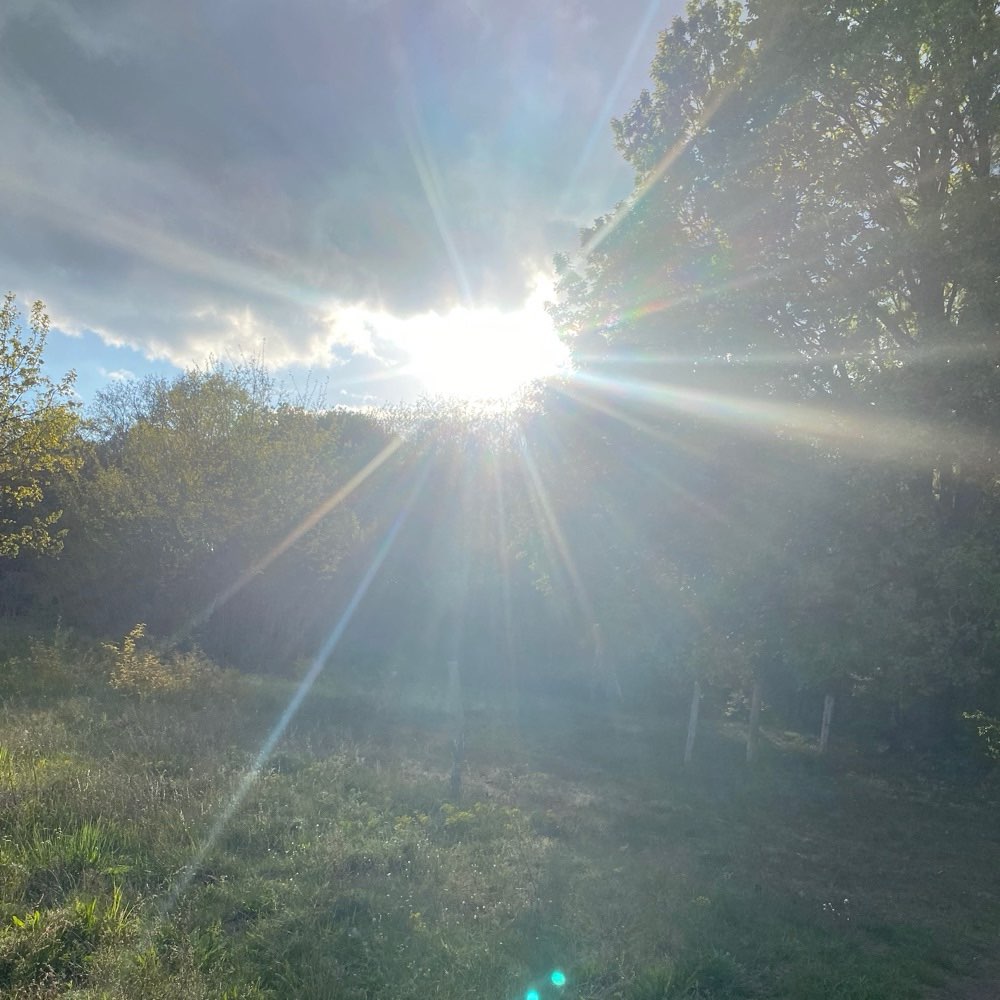 Hundetreffen-Mantrailing in oder um Jüterbog-Profilbild